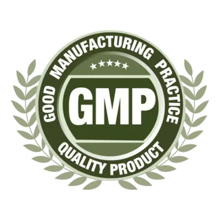 GMP چیست